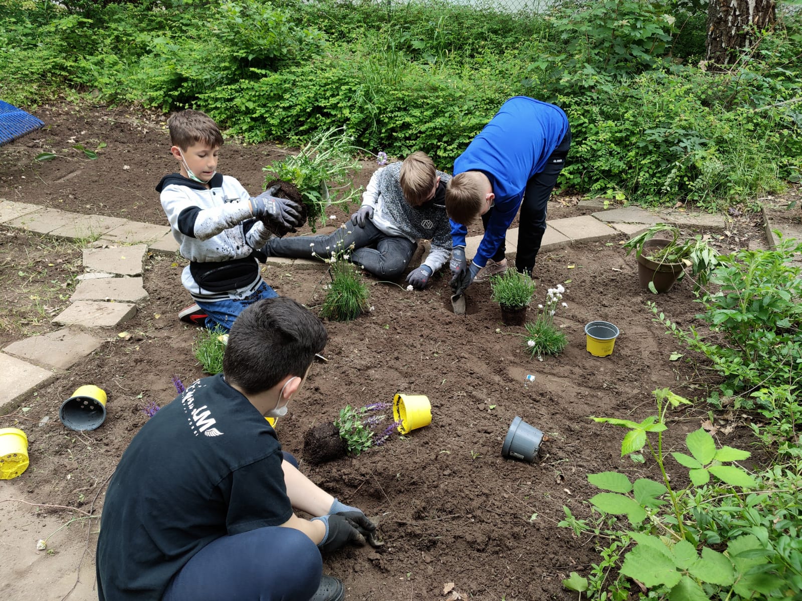 05 Schulgarten PRIMUS