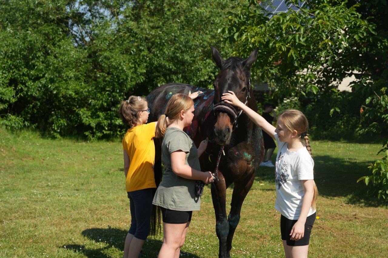 36AAC764 1189 4934 8558 12C6725971B5