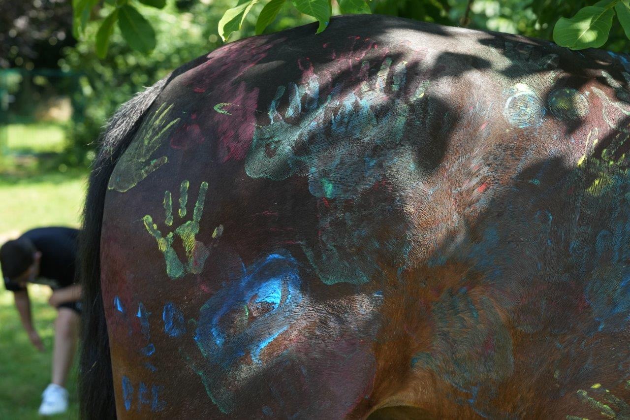 8823FAFD BC4B 4DBB A5D7 EDB63ED4A954