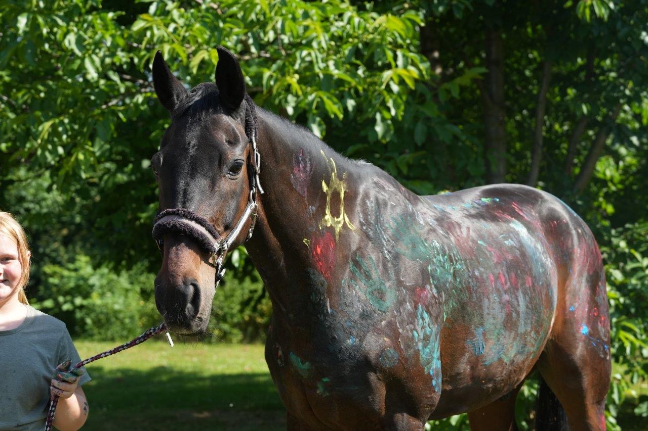 ABD7210D 58CC 447F 9ADC 5A59FB53407B