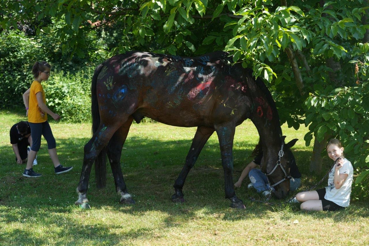 E076CEC8 650E 48D4 876D 02EDCCEEC67F