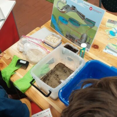 Wasserreinigung - MINT-Fest mit der PRIMUS-Schule Minden