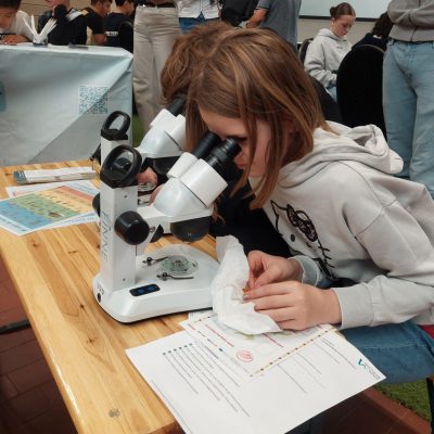 MINT-Fest mit der PRIMUS-Schule Minden